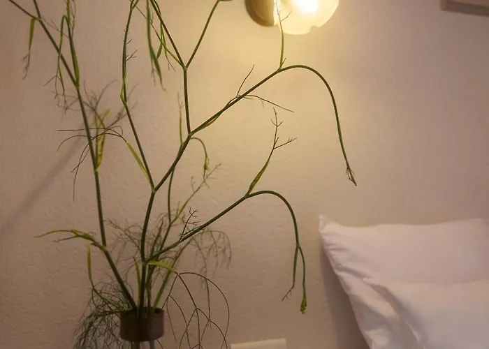 Restaurant Le Botaniste 酒店 普拉斯·德·莫罗·拉普尔